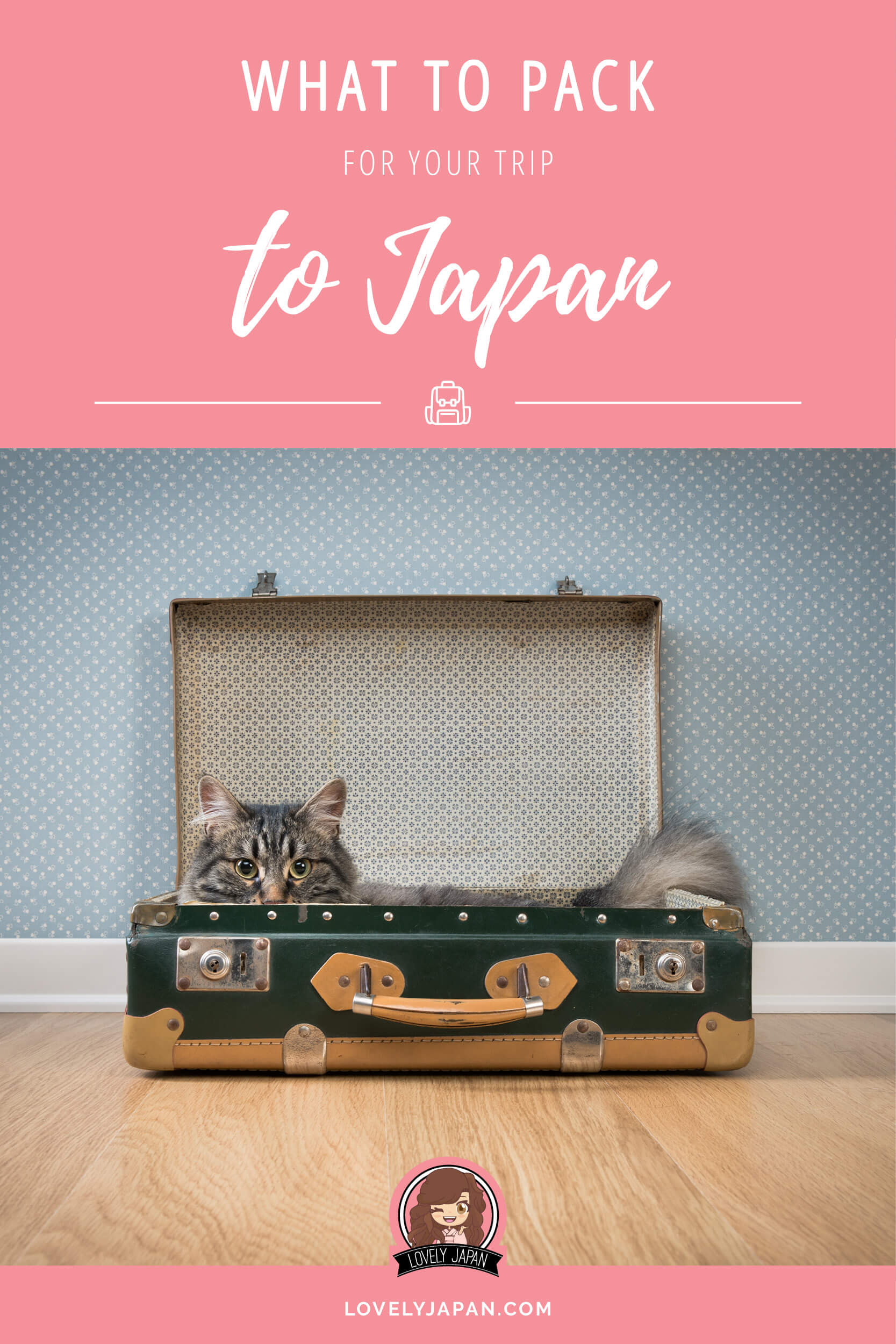 japanese travel kit