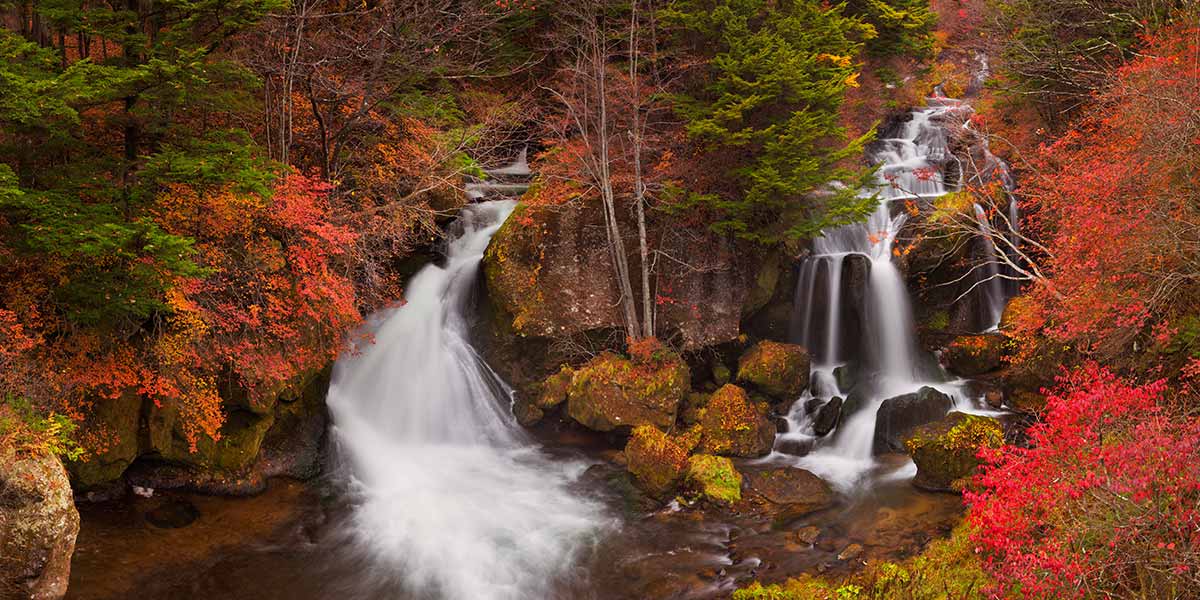 Things to do in Nikko: Autumn